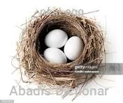 nest egg